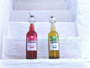 Té kombucha, la bebida que lo tiene todo